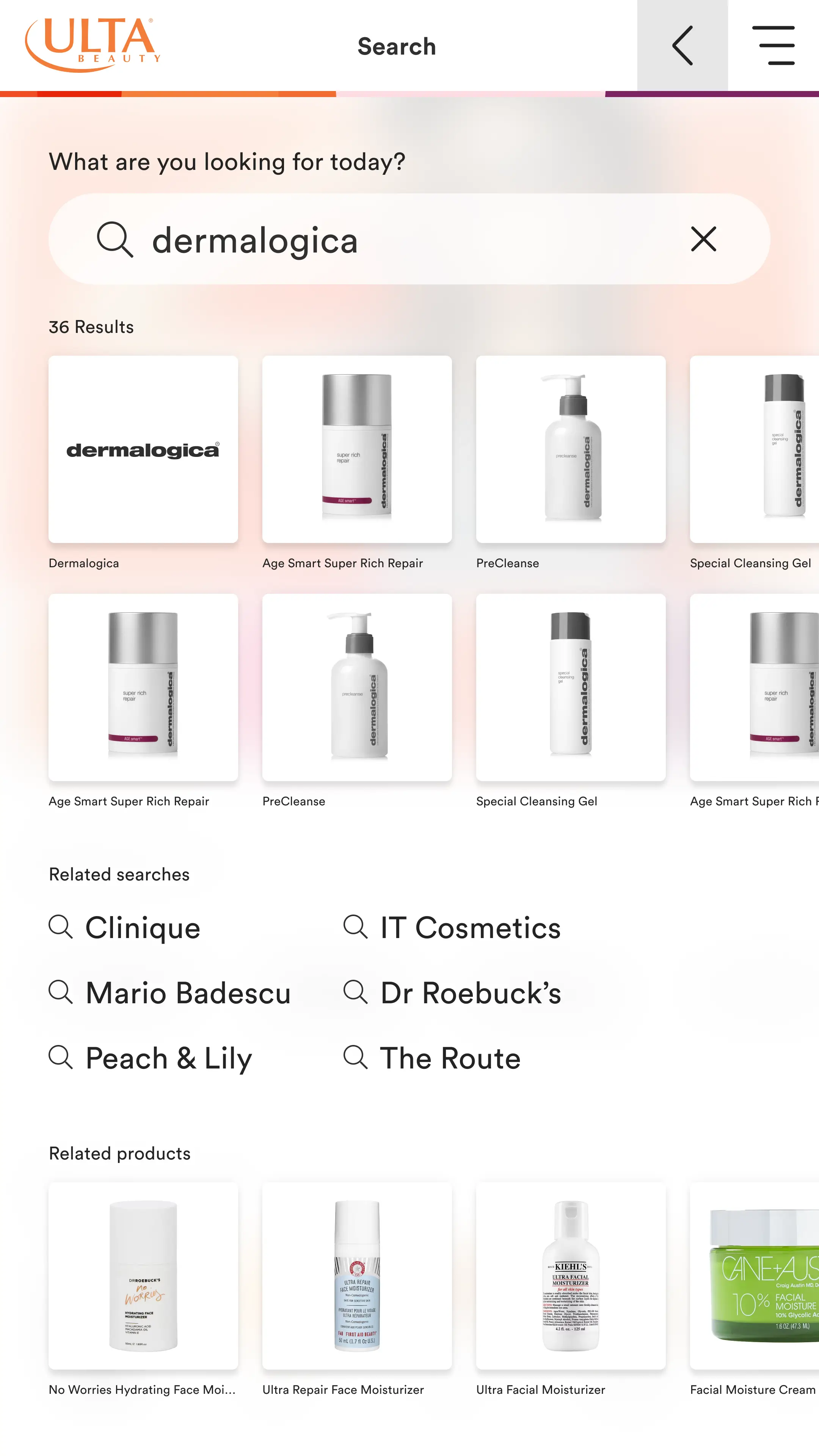 Digitial Mirror search results